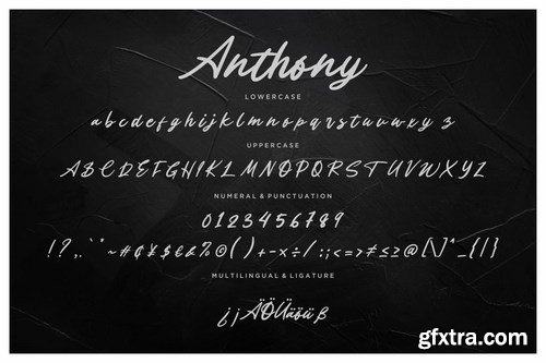 Anthony Handwritten Signature