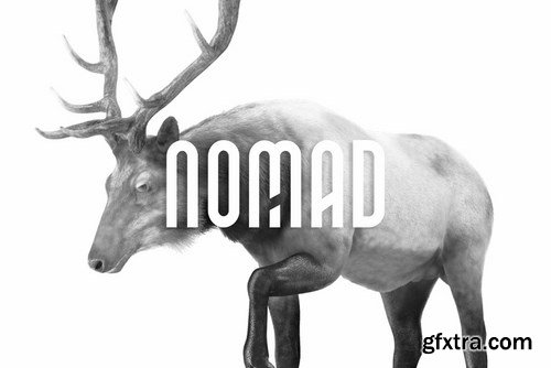 CM - NOMAD - Unique Display Typeface 4405392