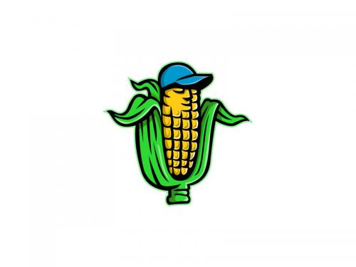 Corn on Cob With Baseball Hat Mascot - corn-on-cob-with-baseball-hat-mascot