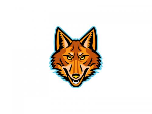 Coyote Head Front Mascot - coyote-head-front-mascot-c77edc51-1812-450a-97c3-2327ac9eb64e