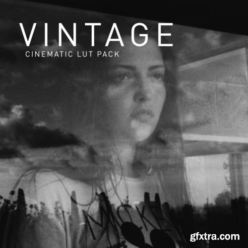 NoamKroll - Cinematic LUTs: Vintage (Win/Mac)