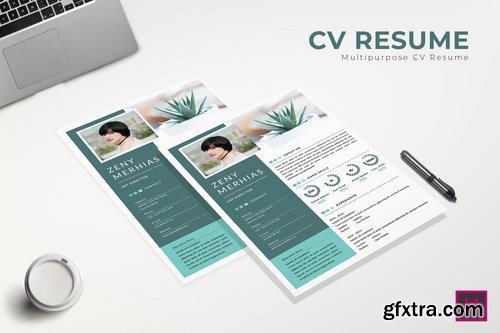 Flaws CV Resume Template