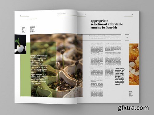 Agrica - Magazine Template