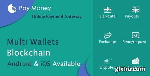 CodeCanyon - PayMoney v2.3 - Secure Online Payment Gateway - 22341650 - NULLED