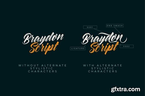 Braydon Script