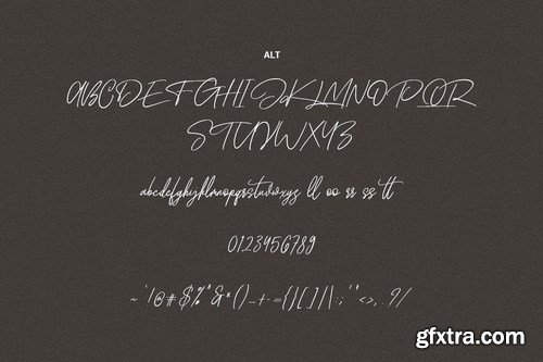 Wellfare - Handwritten Swash Font