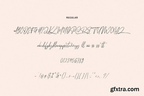 Wellfare - Handwritten Swash Font