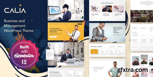 ThemeForest - Calia v1.2.19 - Business and Management WordPress Theme - 25232355