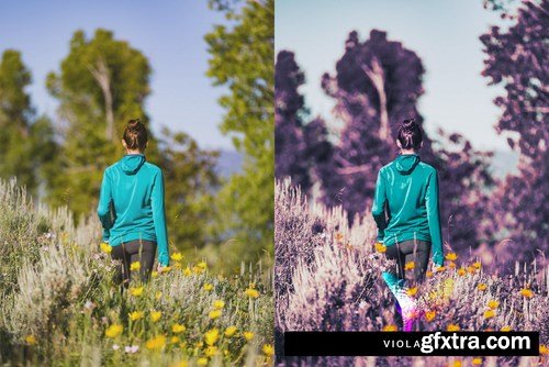 50 Lavender Lightroom Presets and LUTs