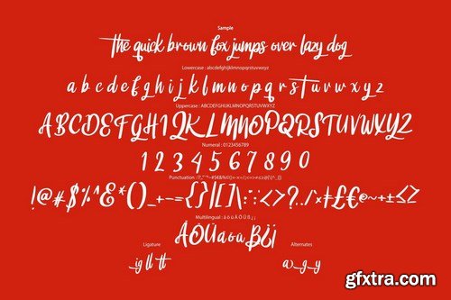 Digtta Modern TypeFace