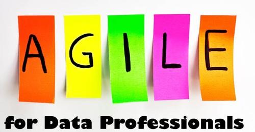 Oreilly - Agile for Data Professionals - 9781634623032