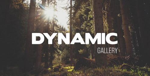 Videohive - Dynamic Gallery