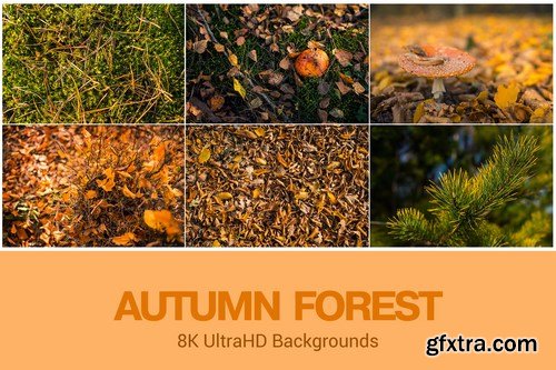 8K UltraHD Custom Seamless Backgrounds Bundle