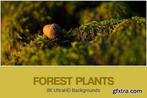 8K UltraHD Custom Seamless Backgrounds Bundle