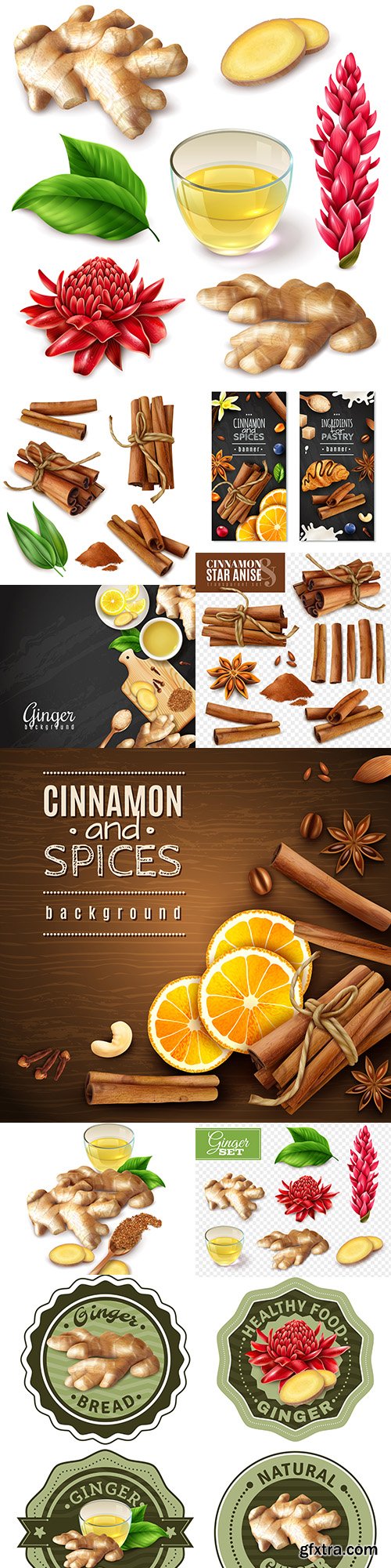 Ginger root and cinnamon sticks 3d illustration