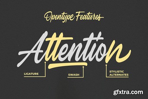 CM - Hayline - Elegant Script Font 4419725