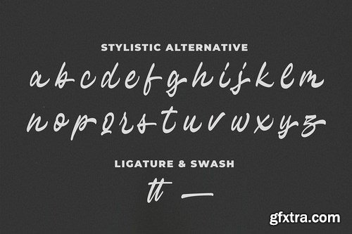 CM - Hayline - Elegant Script Font 4419725