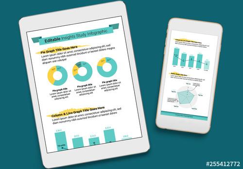 Insights Study Infographic with Blue and Yellow Accents - 255412772 - 255412772