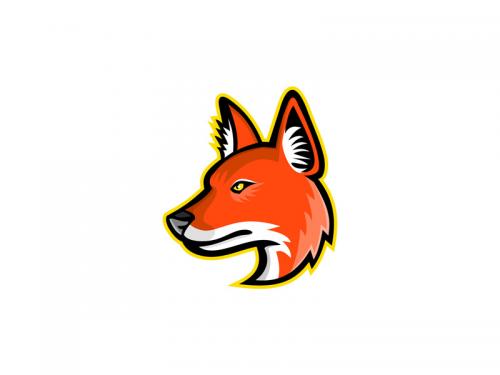 Dhole or Asiatic Wild Dog Mascot - dhole-or-asiatic-wild-dog-mascot