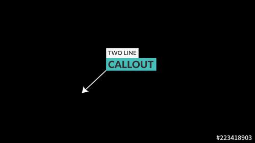 Two Line Callout - 223418903 - 223418903