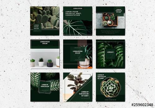 Social Media Post Layouts with Green Accents and Plant Imagery - 259602348 - 259602348