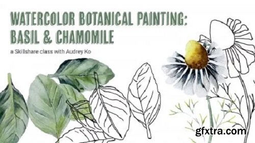 Watercolor Botanical Painting: Basil and Chamomile