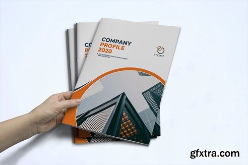 Company profile 2