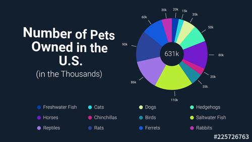 Data-Driven Pie Chart Infographic - 225726763 - 225726763