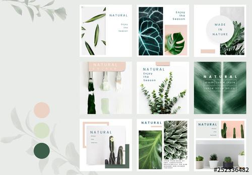 Social Media Post Layouts with Plant Images - 252336482 - 252336482