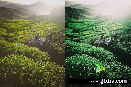 50 Matcha Lightroom Presets and LUTs