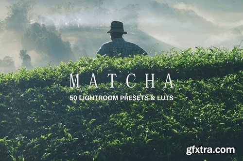 50 Matcha Lightroom Presets and LUTs