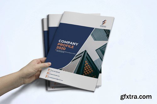 Company Profile 2