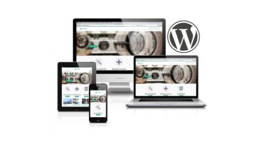 Udemy - Customizr - Learn WordPress with the ultimate creative theme