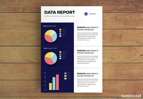 Data Report Infographic Layout with Charts - 246030434 - 246030434