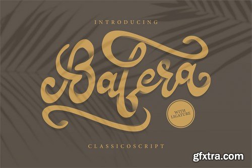 Bafera Classico Script Font