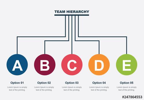 Team Hierarchy Infographic Layout - 247864553 - 247864553