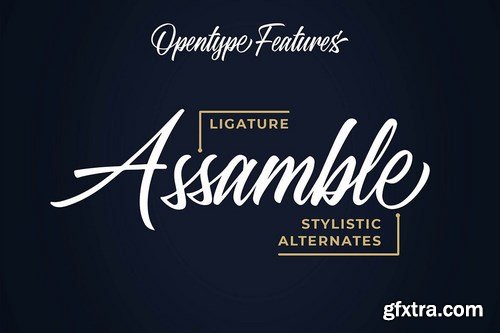 Standberg Script Font