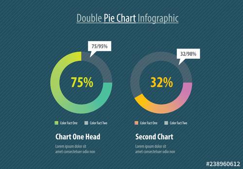 Double Pie Chart Infographic Layout - 238960612 - 238960612