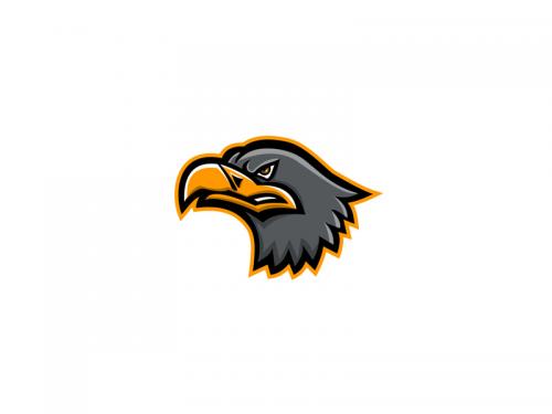 Eurasian Sea Eagle Head Mascot - eurasian-sea-eagle-head-mascot