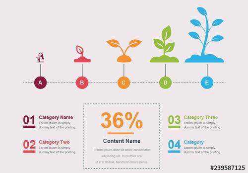 Tree Infographic Layout - 239587125 - 239587125