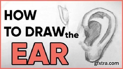 How to Draw the Ear - The Best Way