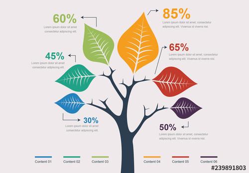 Tree Leaves Infographic Layout - 239891803 - 239891803