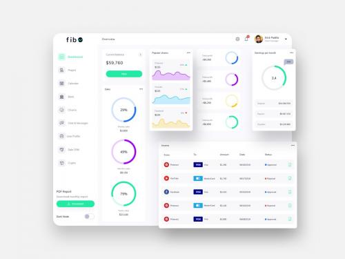 fib Finance Dashboard Ui Light - FP - fib-finance-dashboard-ui-light-p