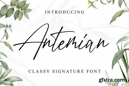 Antemian Classy Signature Font