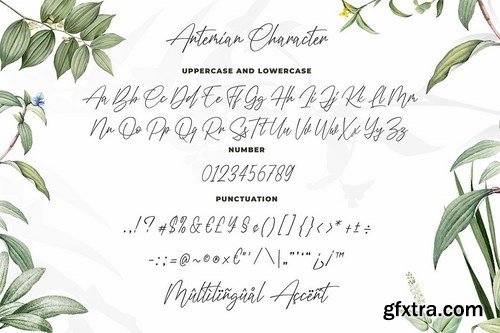 Antemian Classy Signature Font