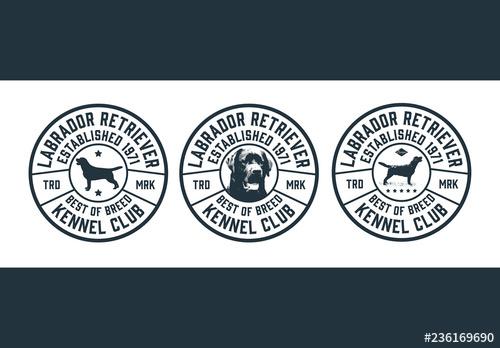 Dog Show Emblem Layout - 236169690 - 236169690