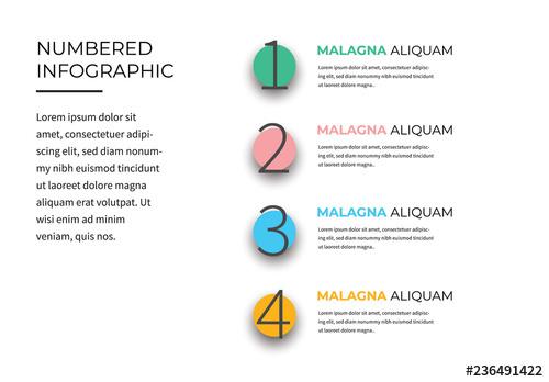 Infographic Layout With Multicolored Accents - 236491422 - 236491422