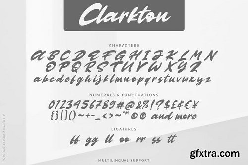 Clarkton - Bold Script Font