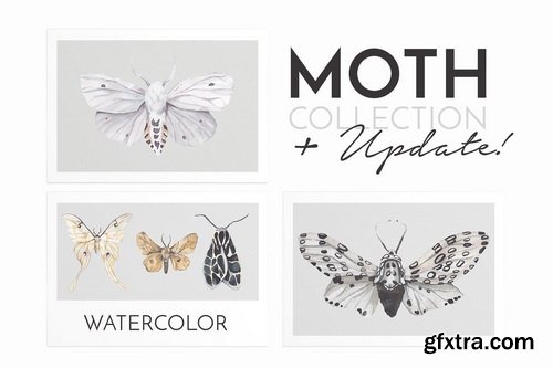 CM - BUNDLE Whole Shop watercolor &amp; design - 3980588