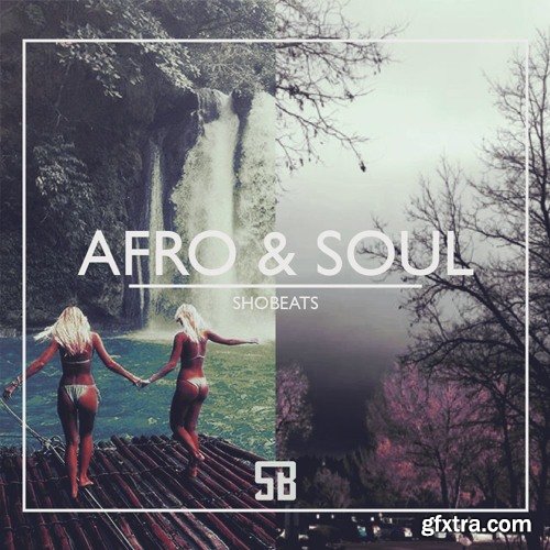 Shobeats Afro And Soul WAV MiDi SYLENTH1 PRESETS